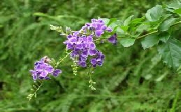 Làm người như thế nào